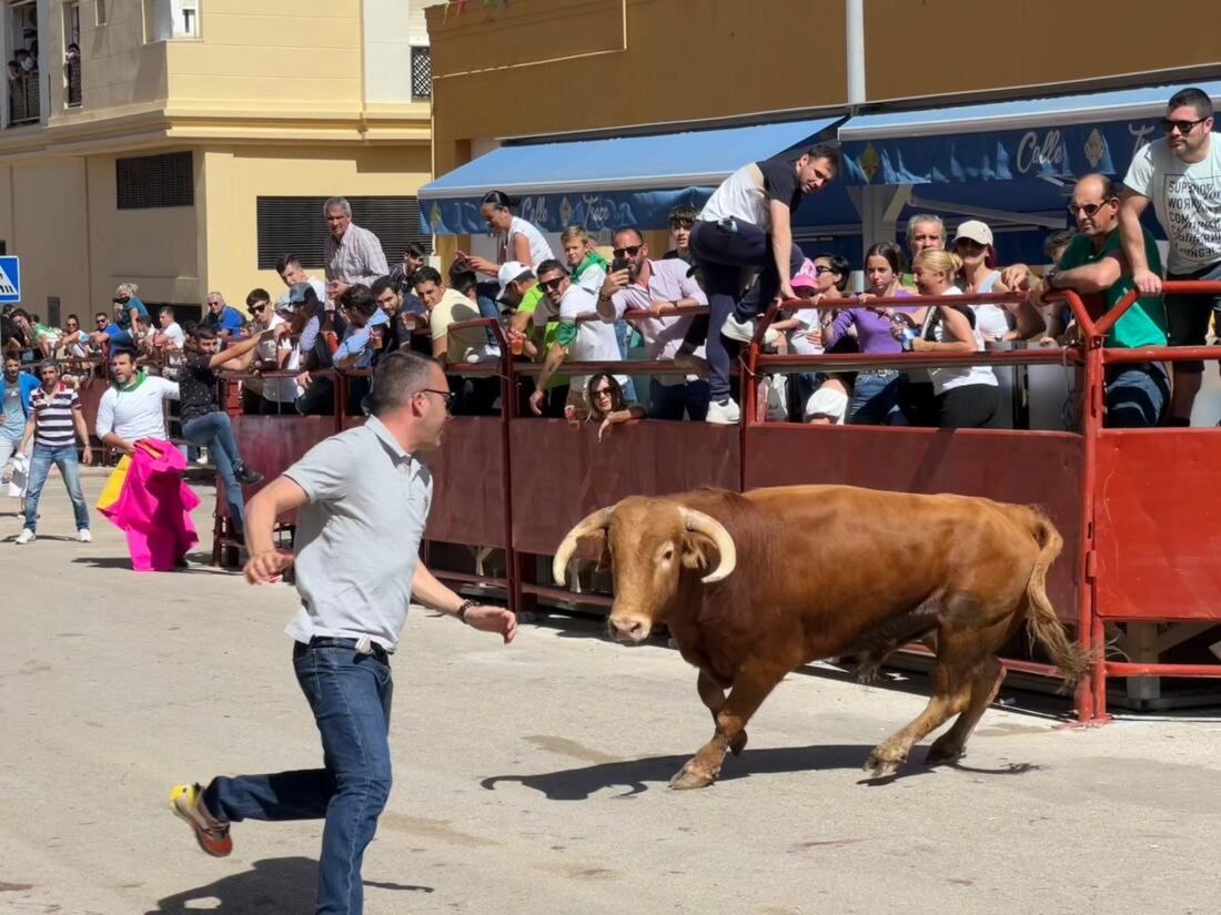 4 Toro Embolao de Los Barrios.