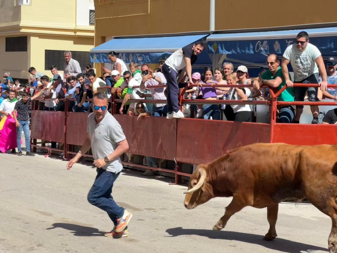 5 Toro Embolao de Los Barrios.