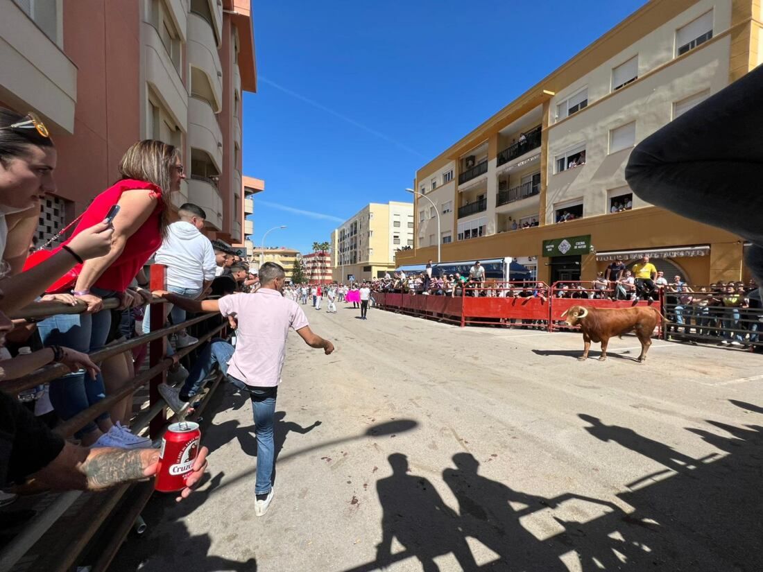 6 Toro Embolao de Los Barrios.