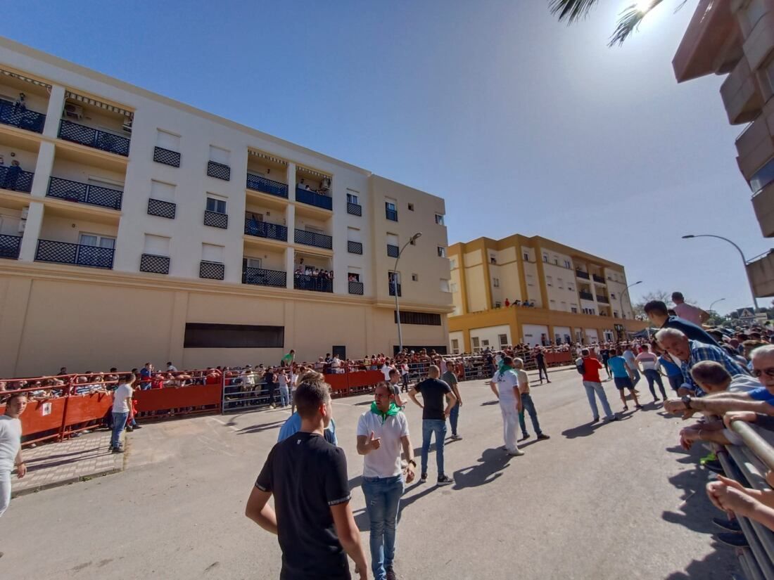12 Toro Embolao de Los Barrios.