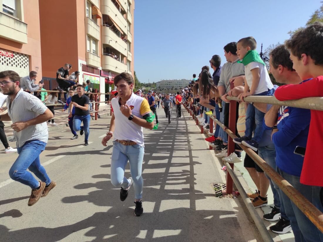 21 Toro Embolao de Los Barrios.