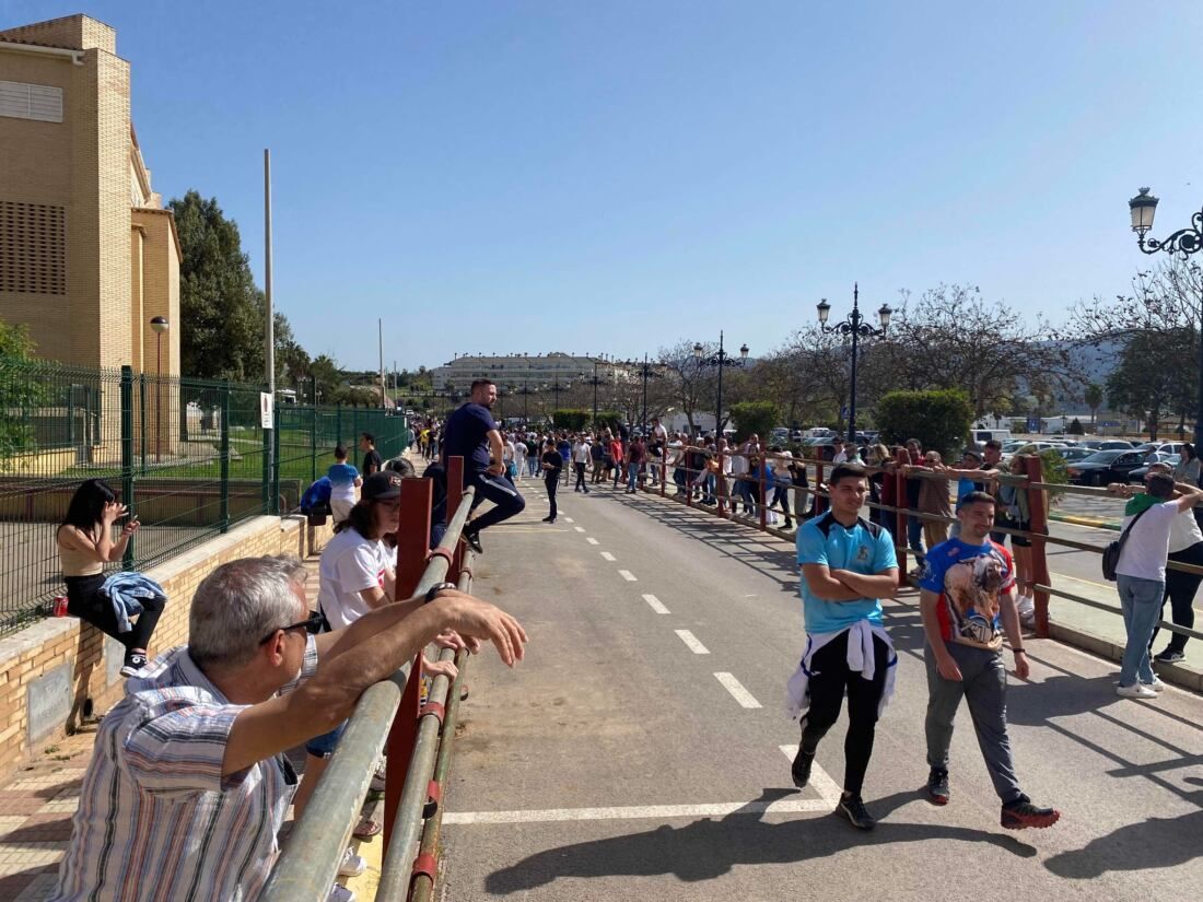 22 Toro Embolao de Los Barrios.