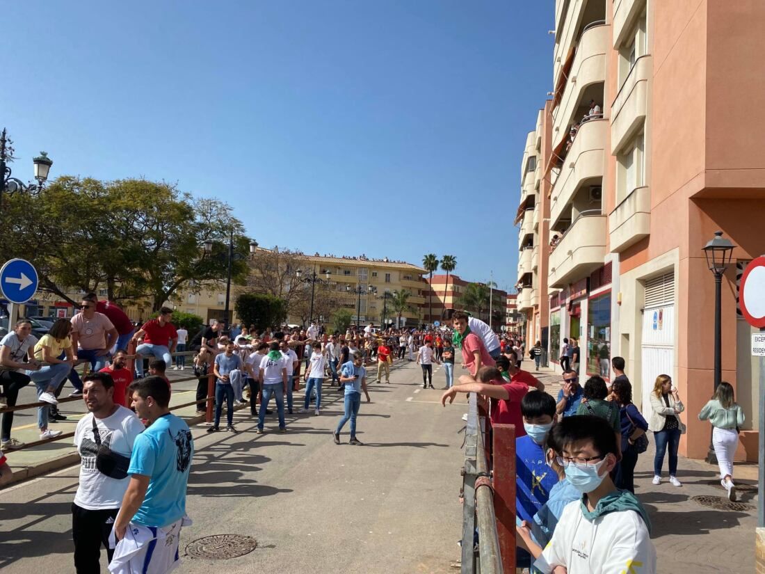 23 Toro Embolao de Los Barrios.