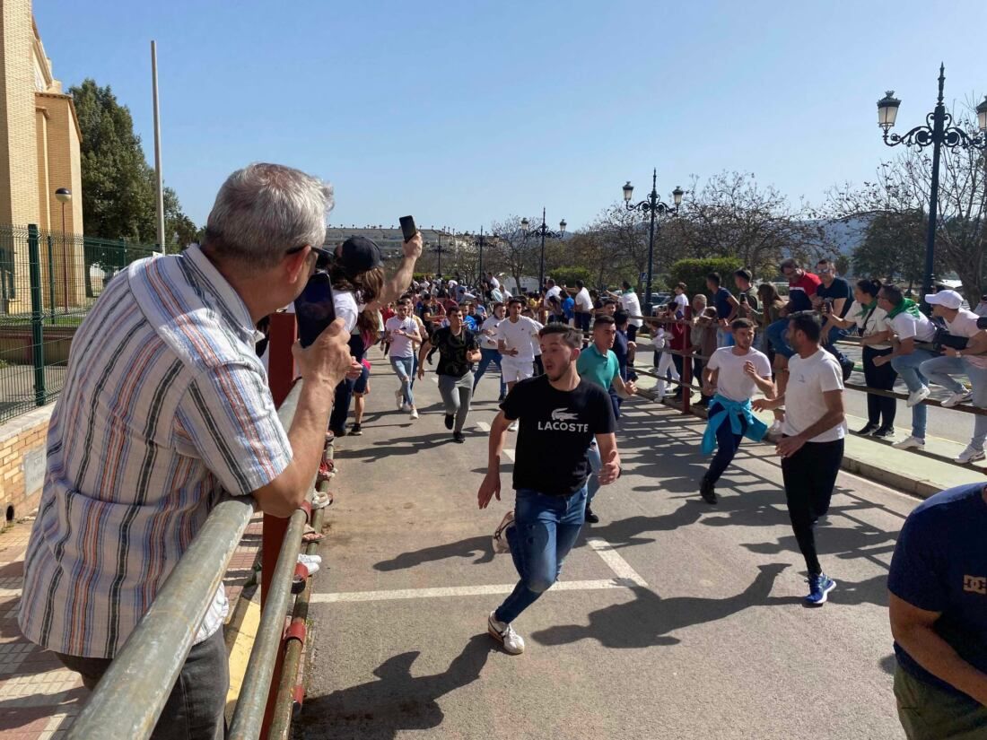 24 Toro Embolao de Los Barrios.