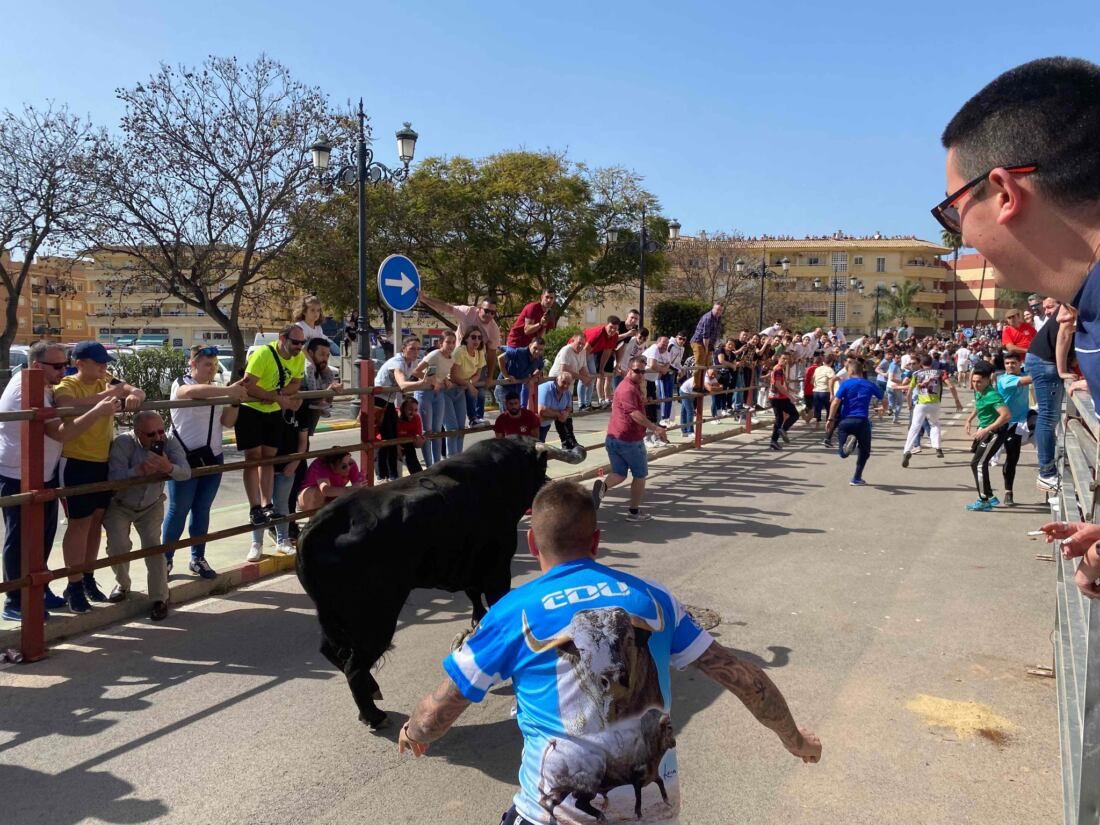 25 Toro Embolao de Los Barrios.