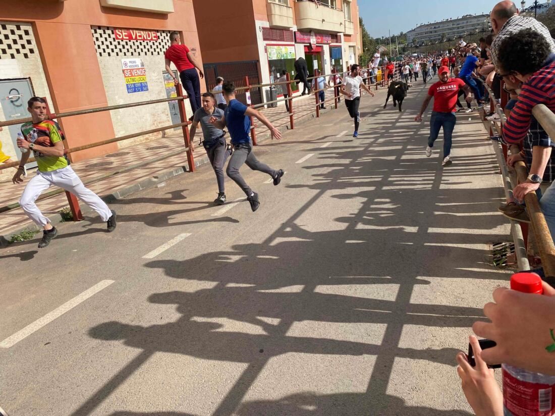 29 Toro Embolao de Los Barrios.