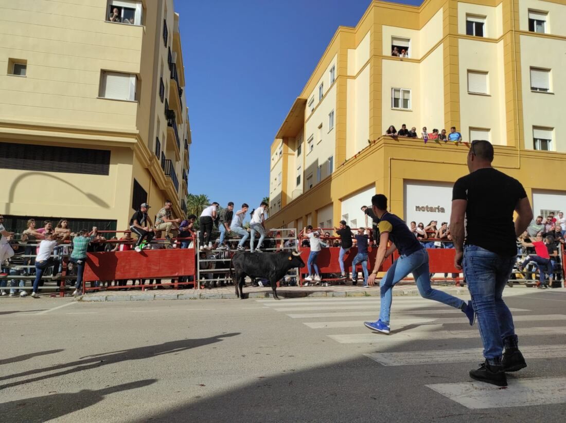 31 Toro Embolao de Los Barrios.