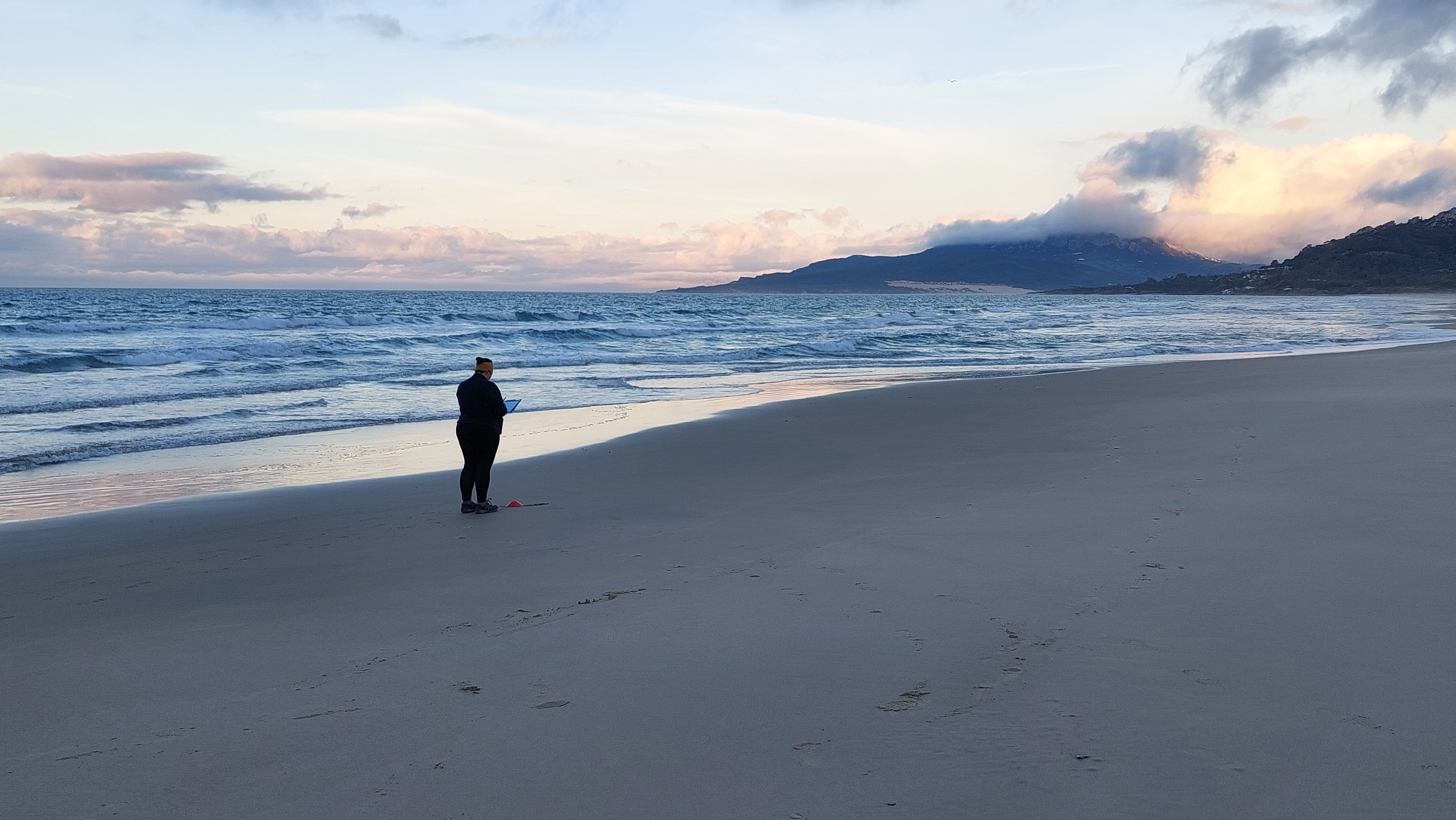 Tarifa, zona de estudio de una expedición científica europea sobre ecosistemas costeros