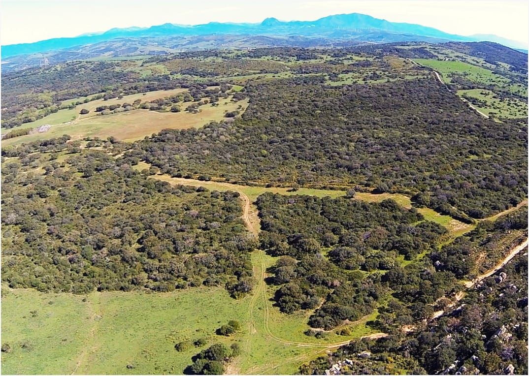 Aprobación definitiva para la construcción del campo de golf y el proyecto hotelero de La Zagaleta