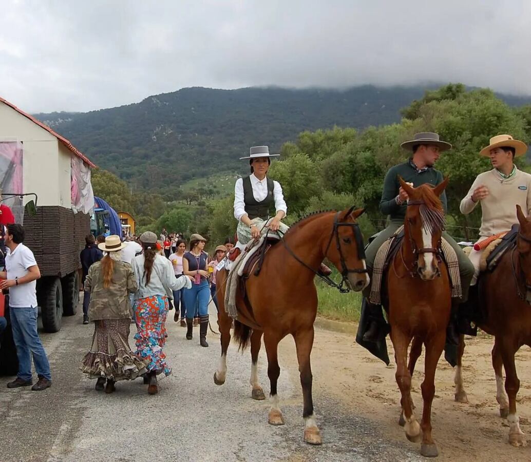 Caballos Romería (2)