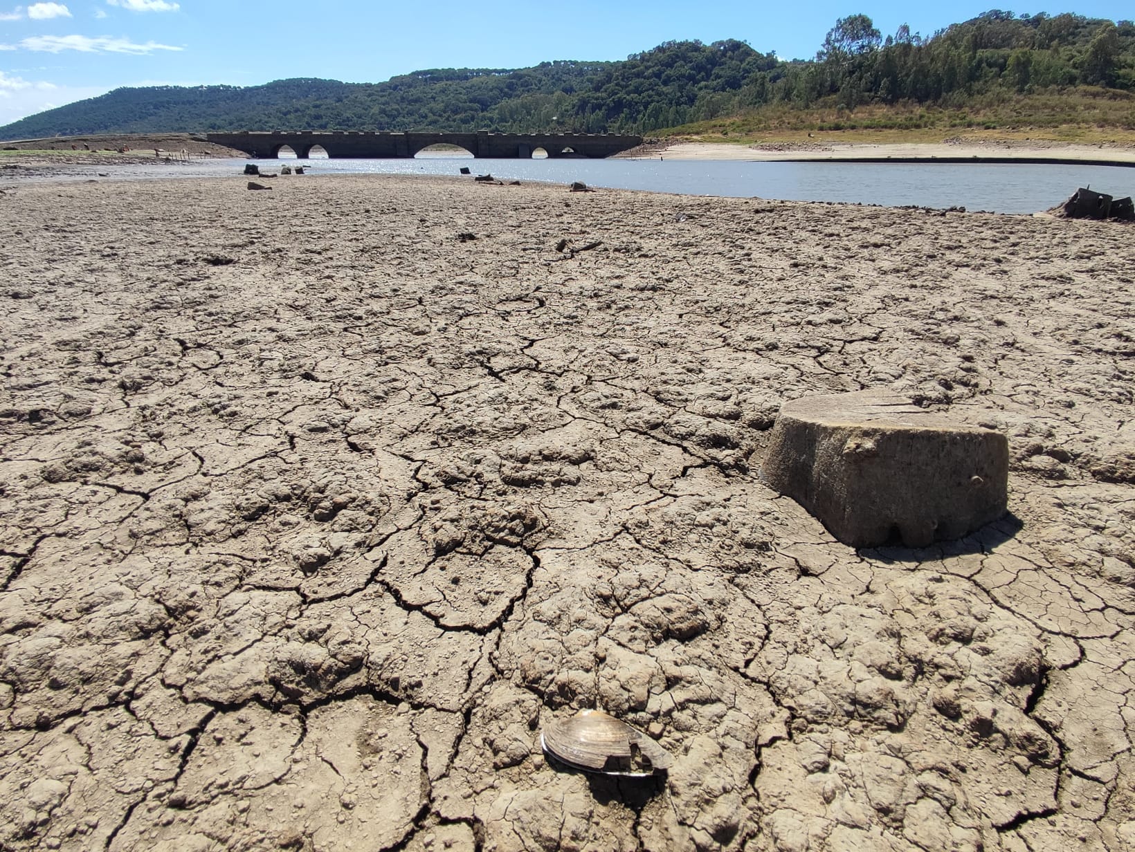 Charco Redondo, en archivo. La comarca arranca el año hidrológico en escasez severa y mantiene los 200 litros al día por persona.