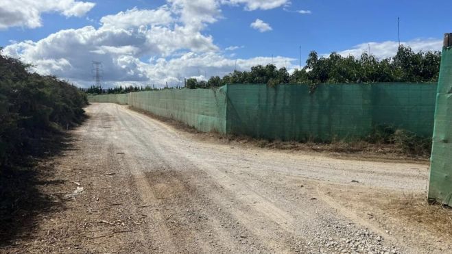 La Junta mejorará dos caminos rurales en Castellar y Tesorillo. Imagen de archivo del camino rural de Las Arenillas, en Castellar de la Frontera.