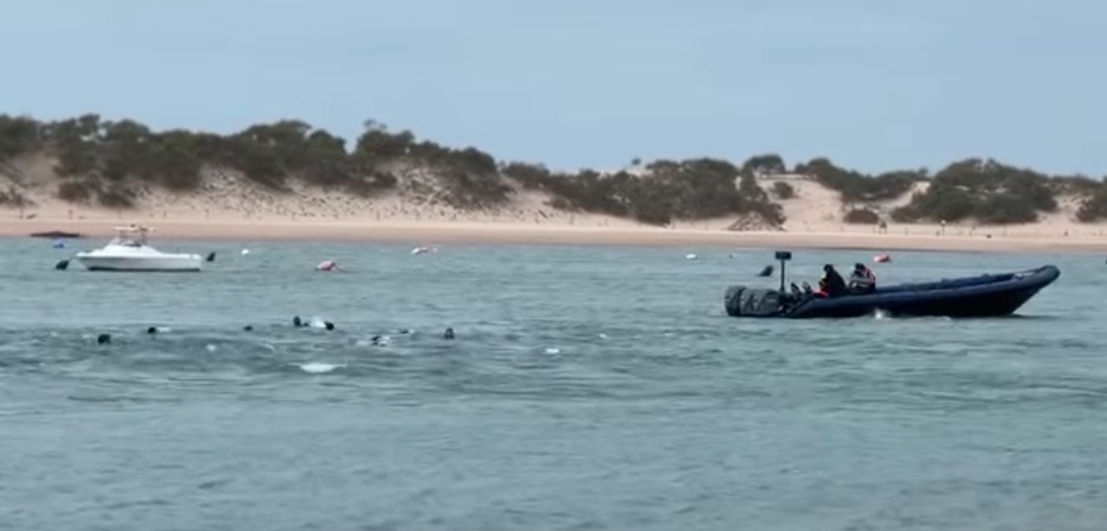 Descenso del 50% en la llegada de migrantes por vía marítima a Cádiz en 2023