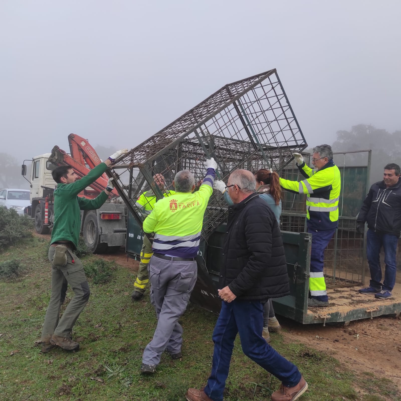 El Ayuntamiento de Tarifa instala diez jaulas para capturar jabalíes con el fin de controlar su población