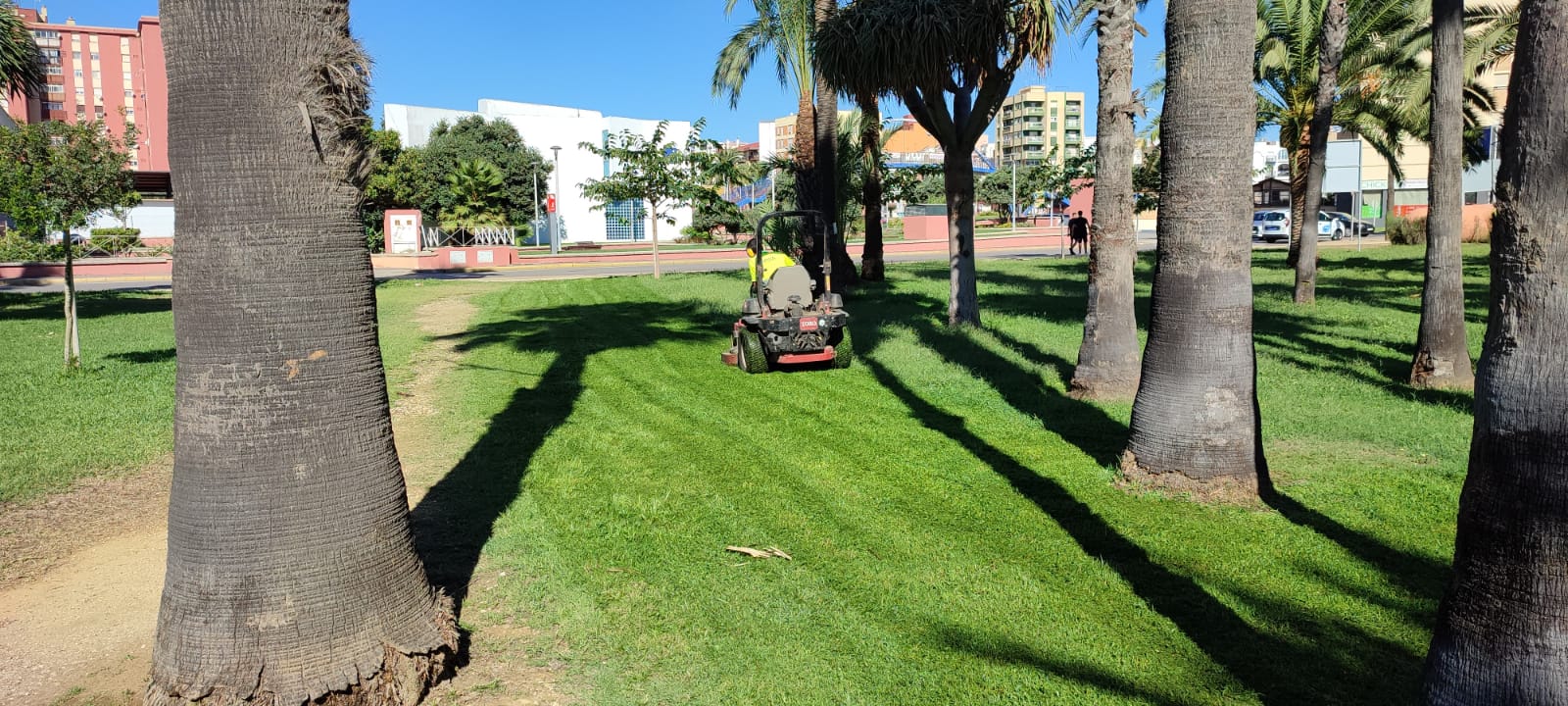 La empresa Oluz, propuesta para la redacción del proyecto sobre el Parque Princesa Sofía.