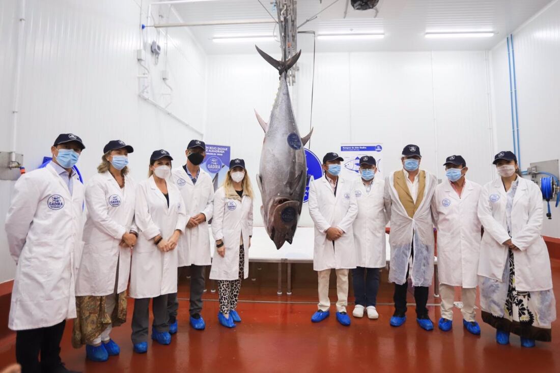 Cádiz.- Gadira inaugura su nueva industria, pionera en ultracongelación sostenible del atún de almadraba