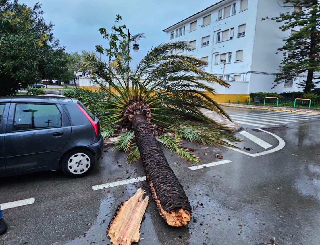 Los Barrios activa el Plan de Emergencia Municipal por el fuerte temporal de viento.