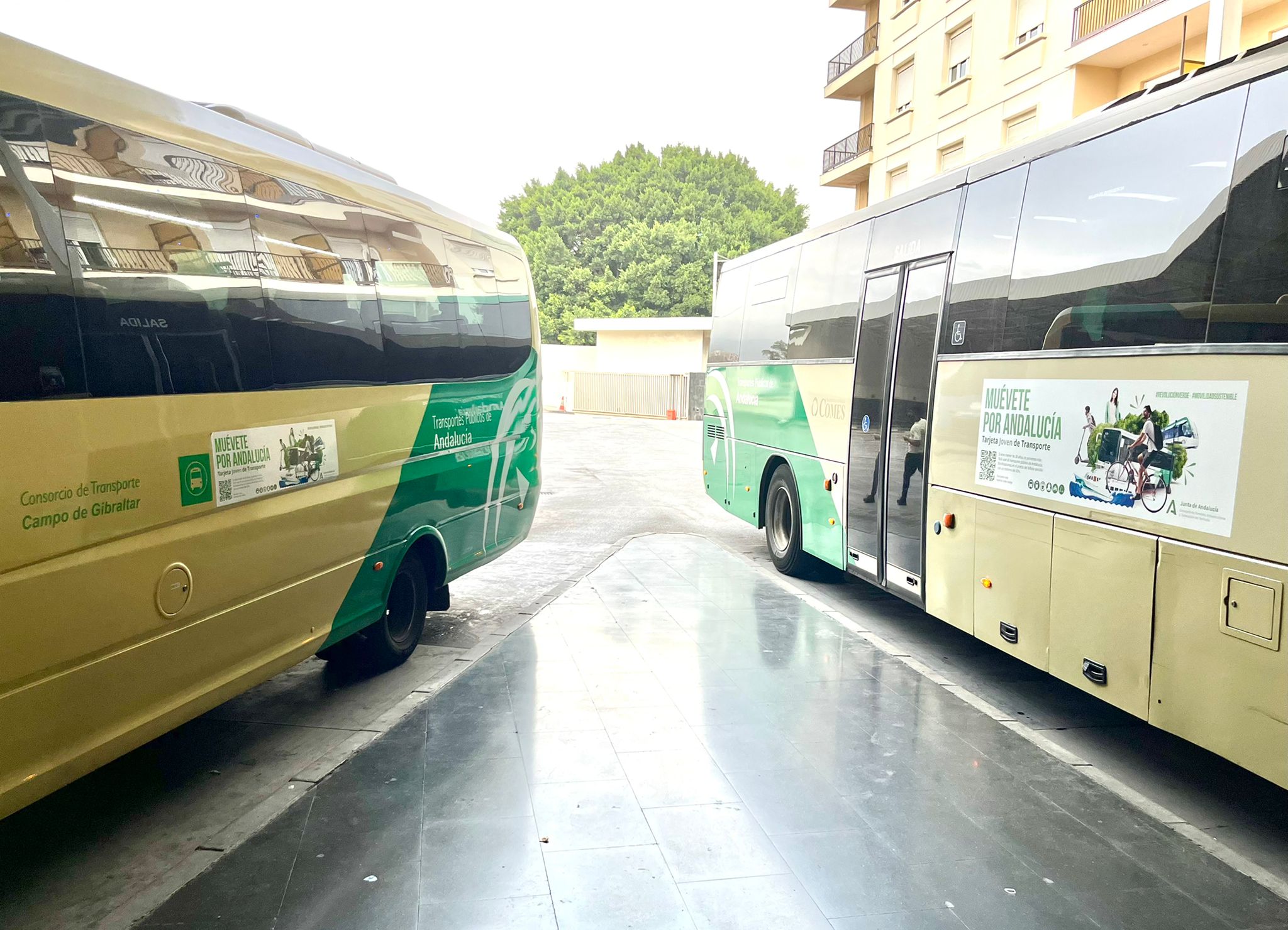 Estación de Algeciras. El Consorcio de Transporte del Campo de Gibraltar supera por primera vez los dos millones de viajeros