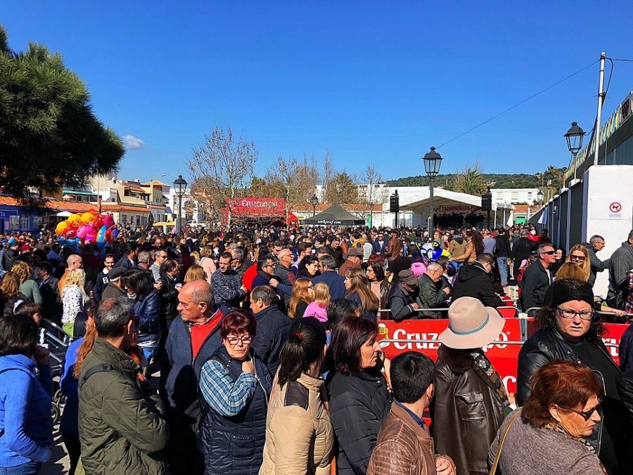 Tagarninada Popular.