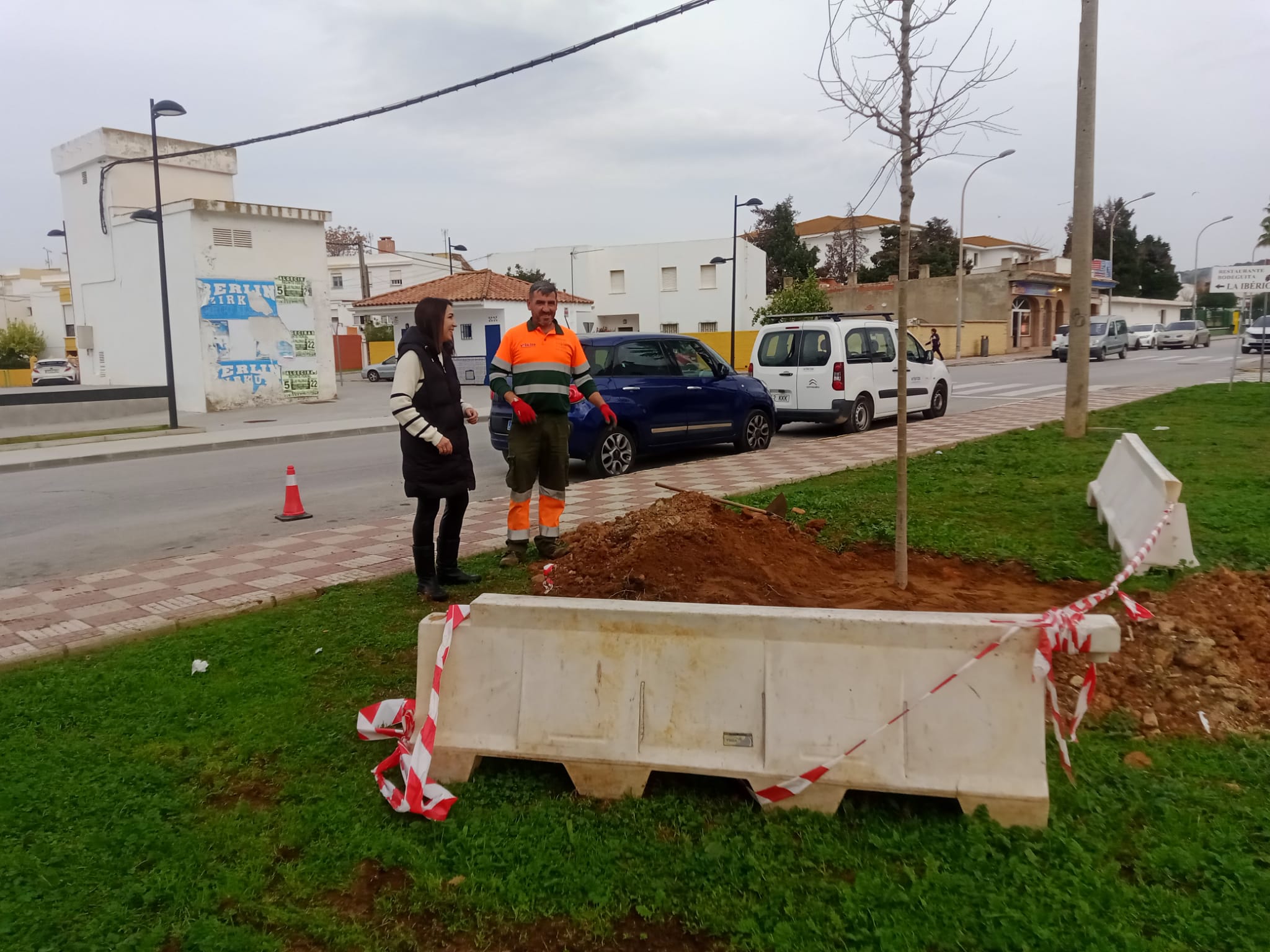 Plantación de nuevos árboles en Los Barrios.