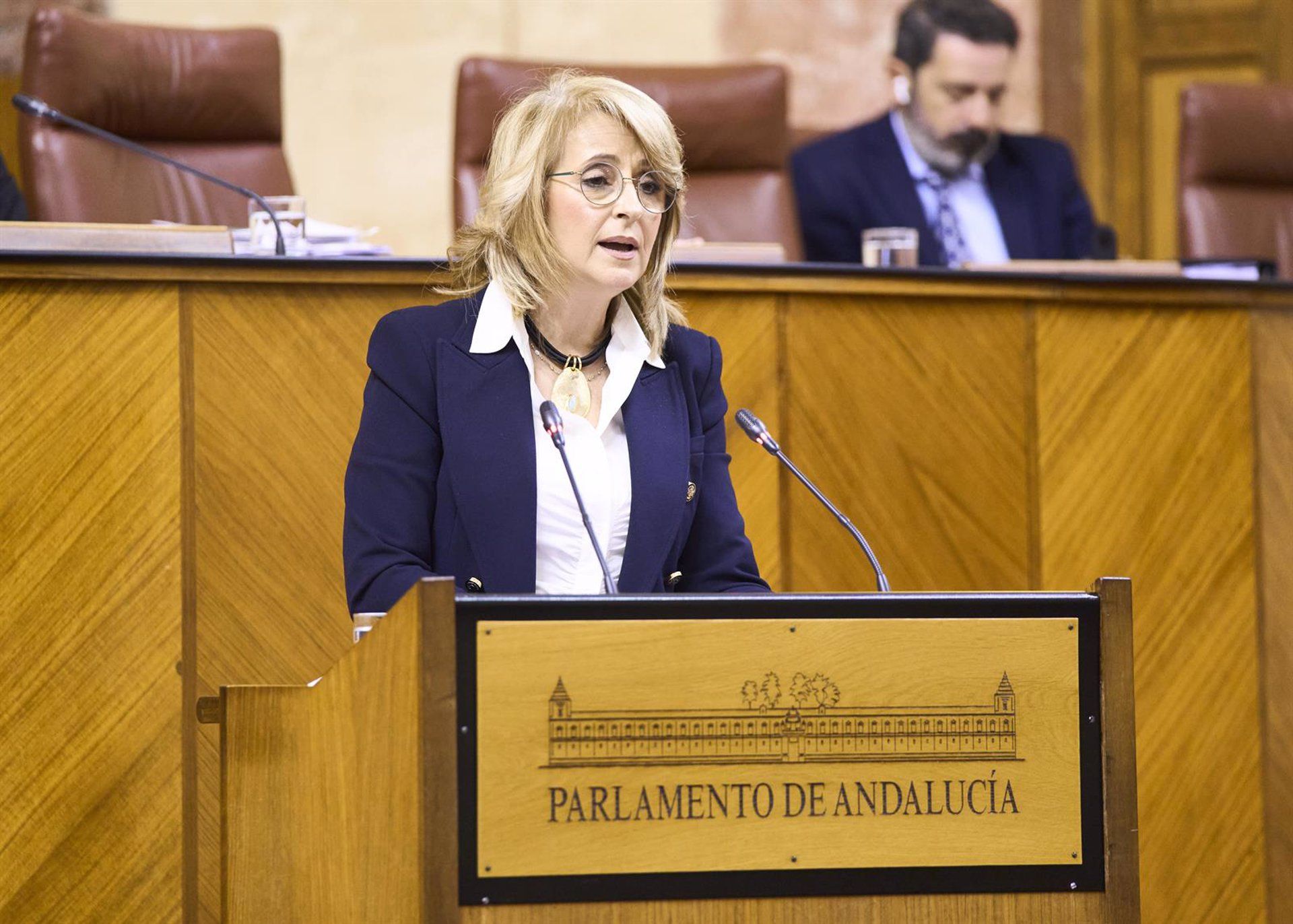 El Parlamento urge por unanimidad que la provincia sea declarada como Zona de Especial Singularidad. Foto: La diputada del PP-A Pilar Pintor interviene en el Pleno del Parlamento andaluz. - JOAQUÍN CORCHERO/PARLAMENTO DE ANDALUCÍA.