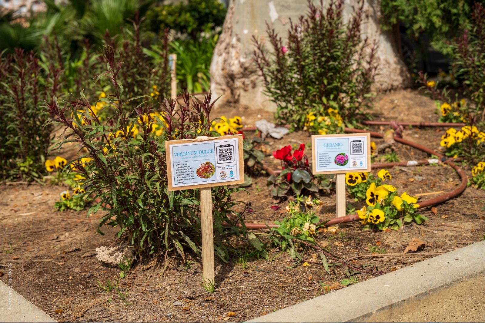 Estudiantes del Virgen de la Esperanza realizan un inventario de plantas en los Jardines Saccone.