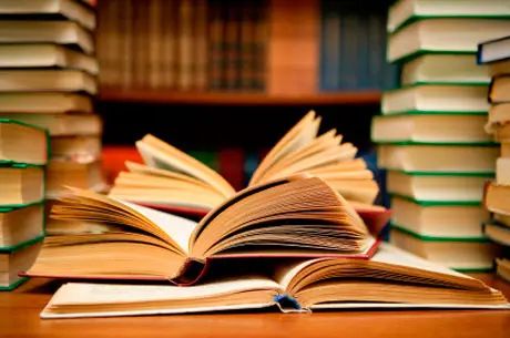 Convocado el V Concurso de Novela Villa de Los Barrios.