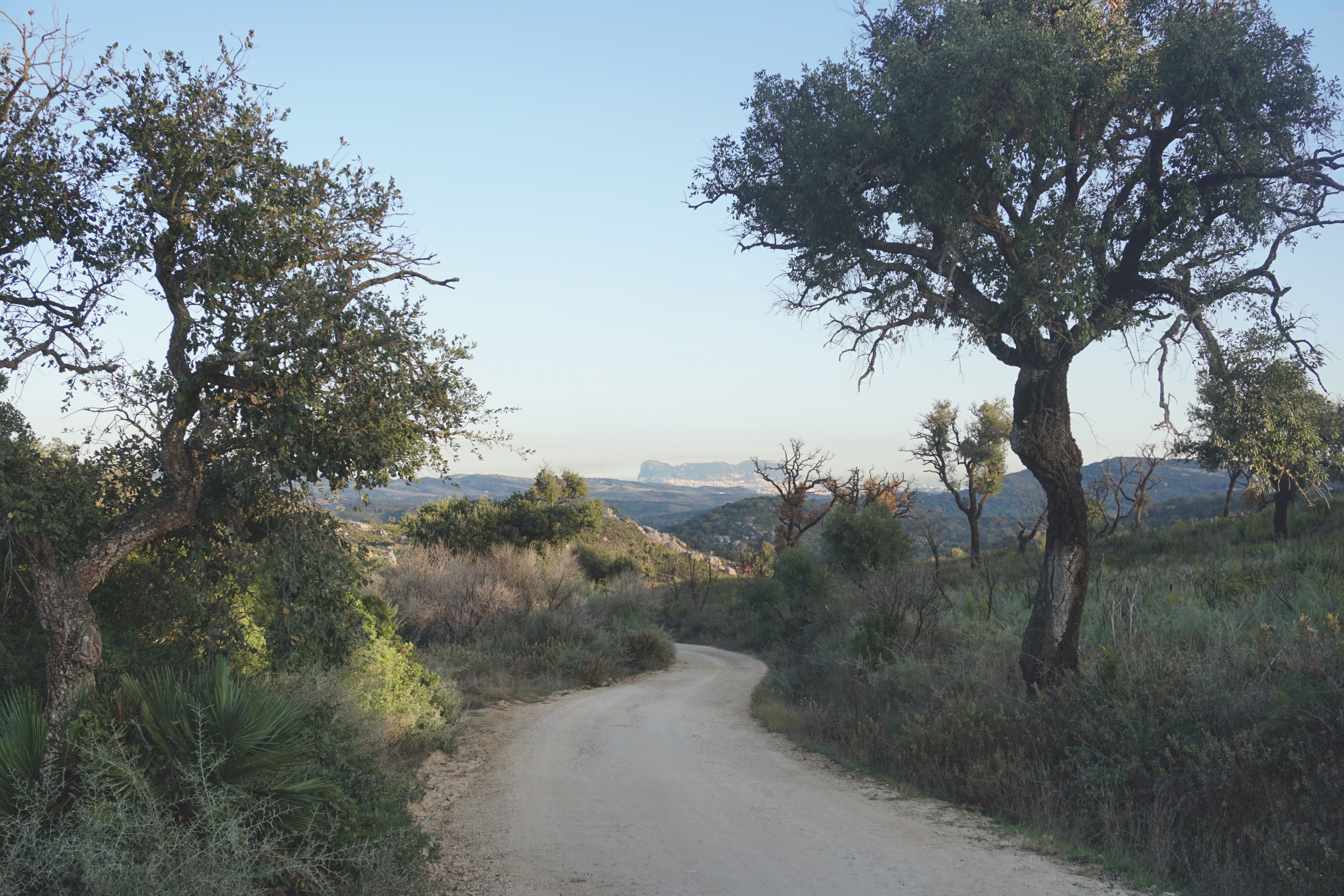 El Campo de Gibraltar, desde los montes de Los Barrios. Foto: F.M.