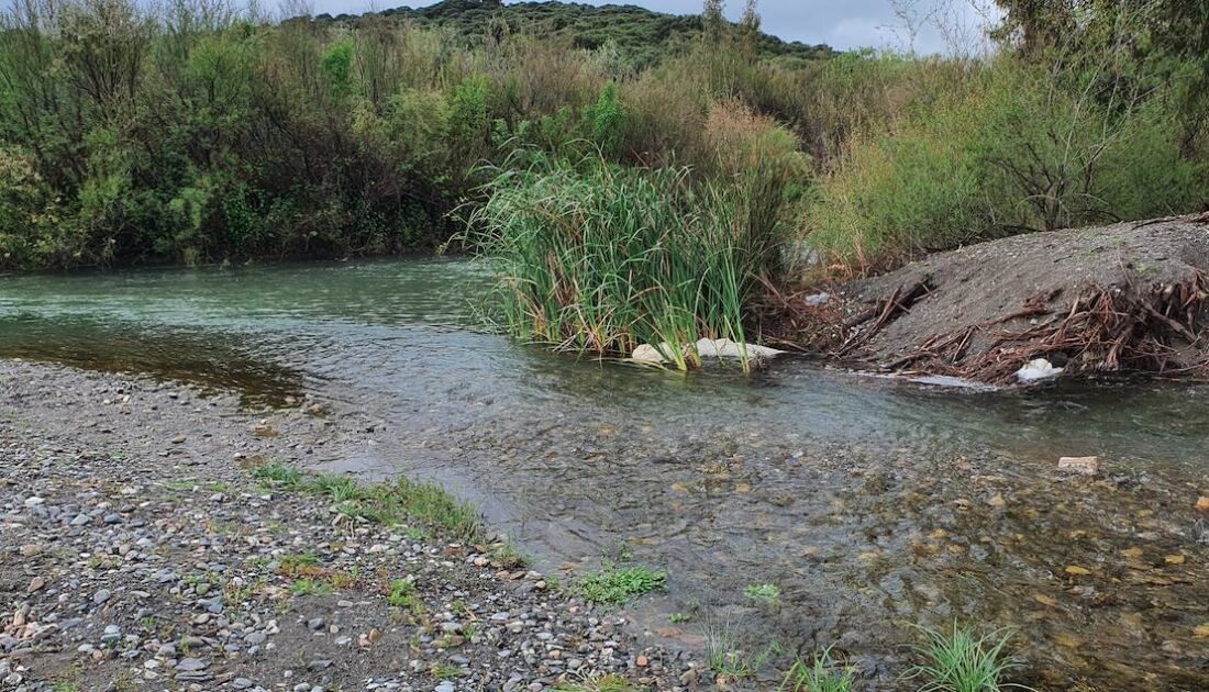 Desembocadura de río Genal en el Guadiaro.