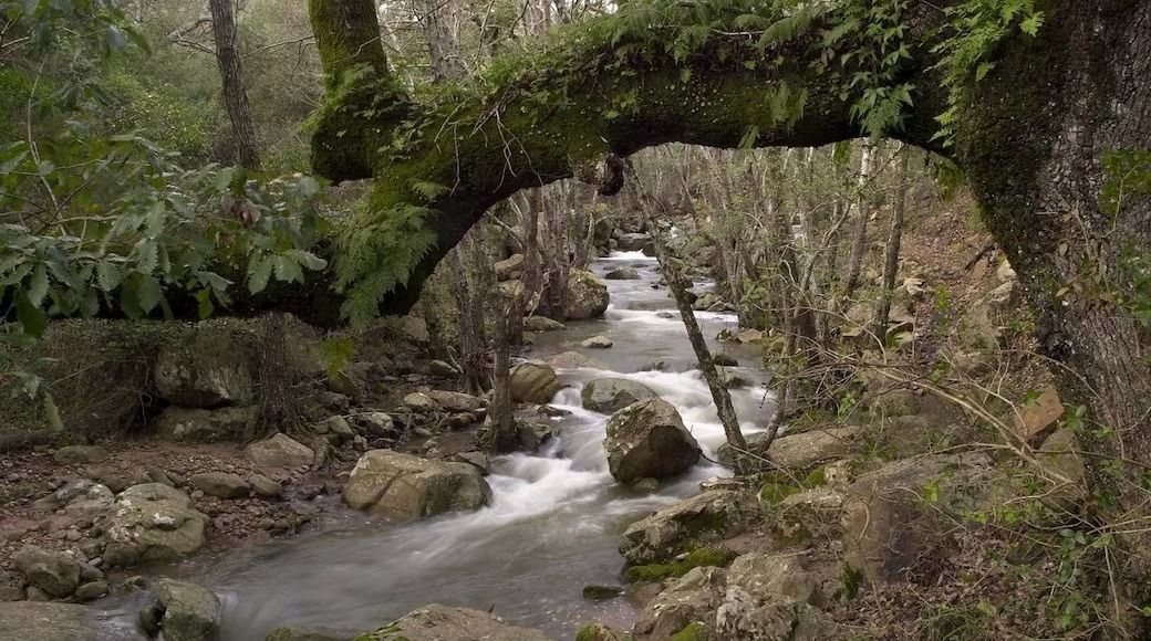 El Ayuntamiento de Tarifa anuncia que los vecinos de El Cuartón tendrán de nuevo agua corriente el próximo martes.