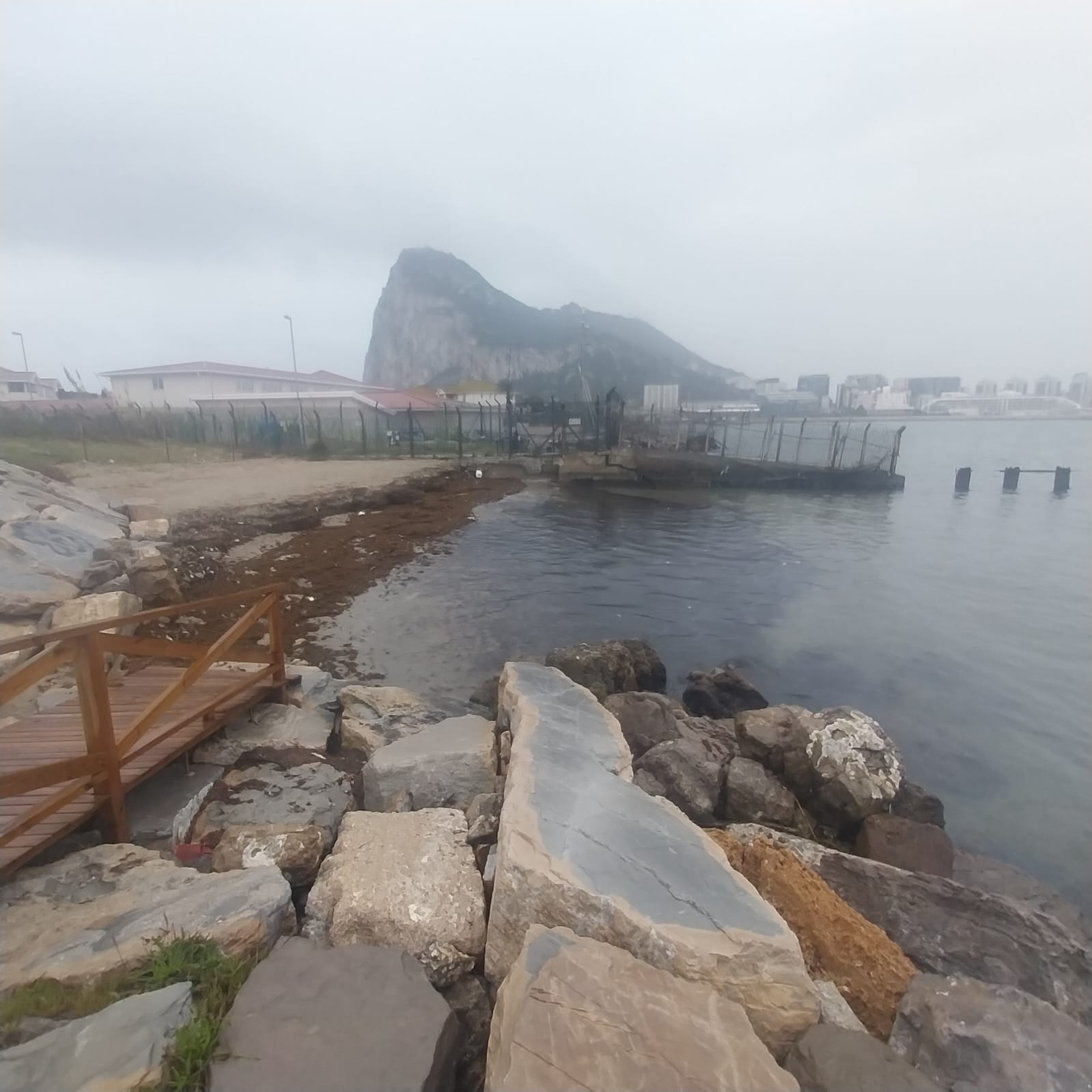 Limpieza de nuevos arribazones de algas en las playas de Poniente y Los Manolos. Limpieza de nuevos arribazones de algas en las playas de Poniente y Los Manolos.