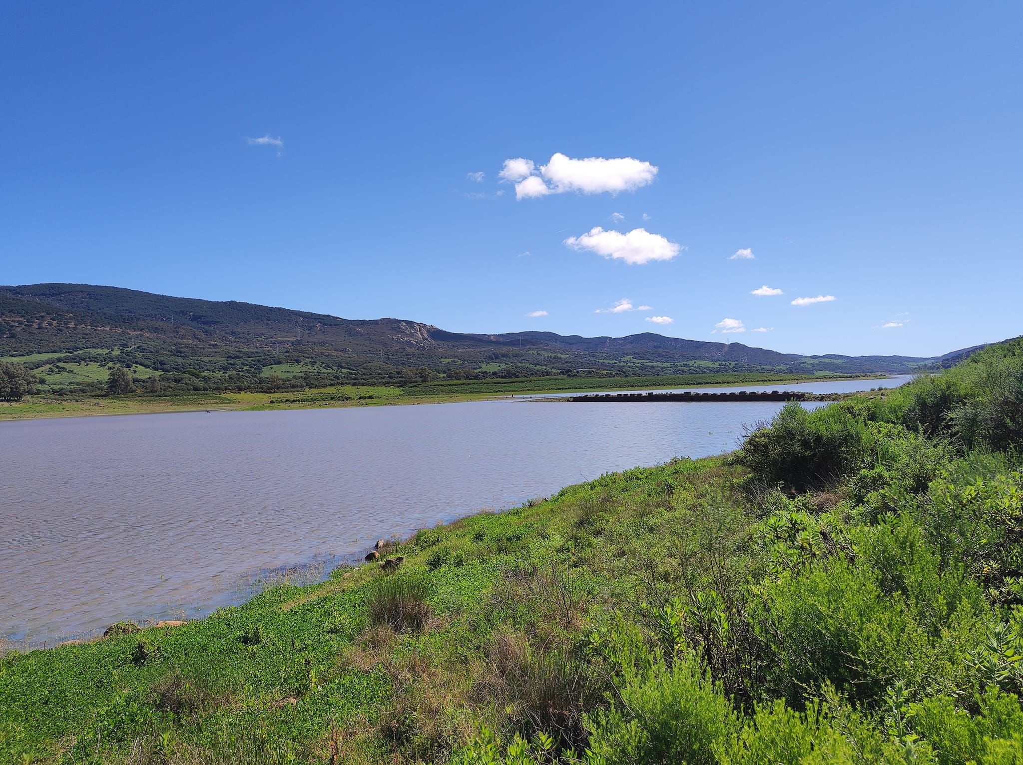 El embalse de Charco Redondo, en Los Barrios, tras las últimas lluvias. Foto: S.D.