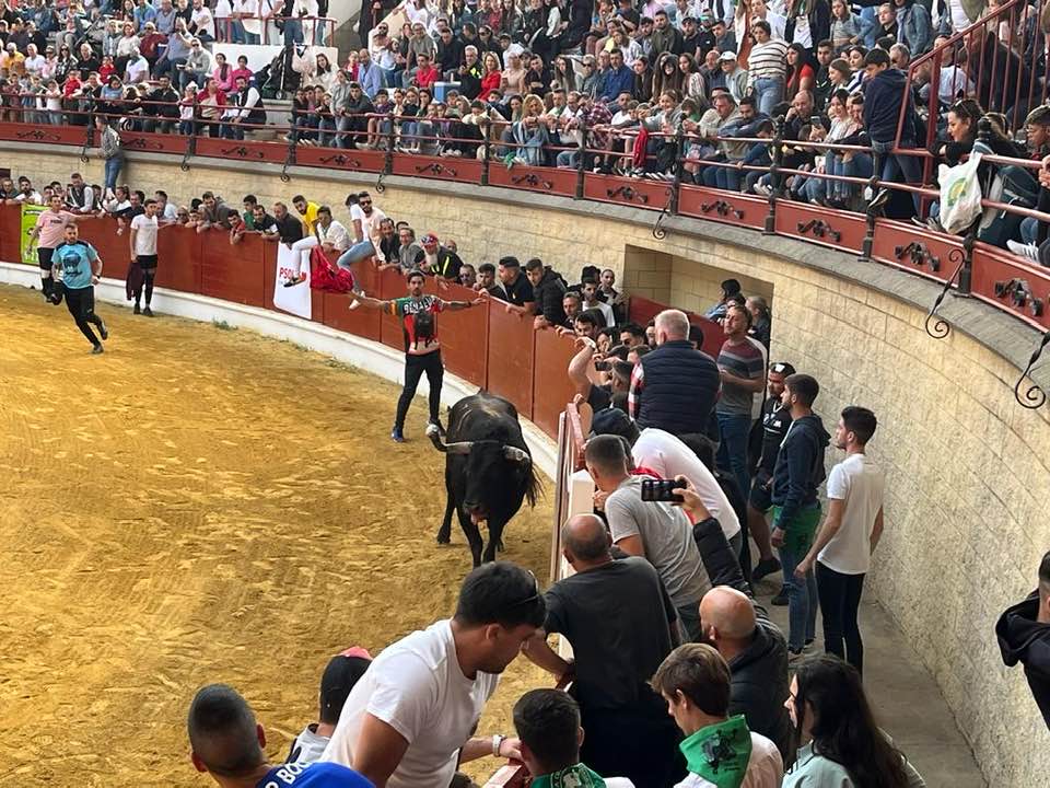 Ayuntamiento y autoridades se coordinan para garantizar la seguridad en el Toro Embolao. Foto: Toro Embolao de Los Barrios, en imagen de archivo.