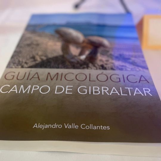 Guía Micológica del Campo de Gibraltar, por Alejandro Valle.
