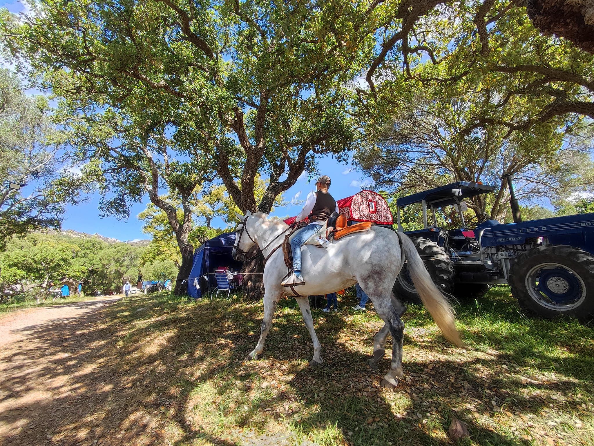 La Romería del Patrón San Isidro de Los Barrios, en imágenes