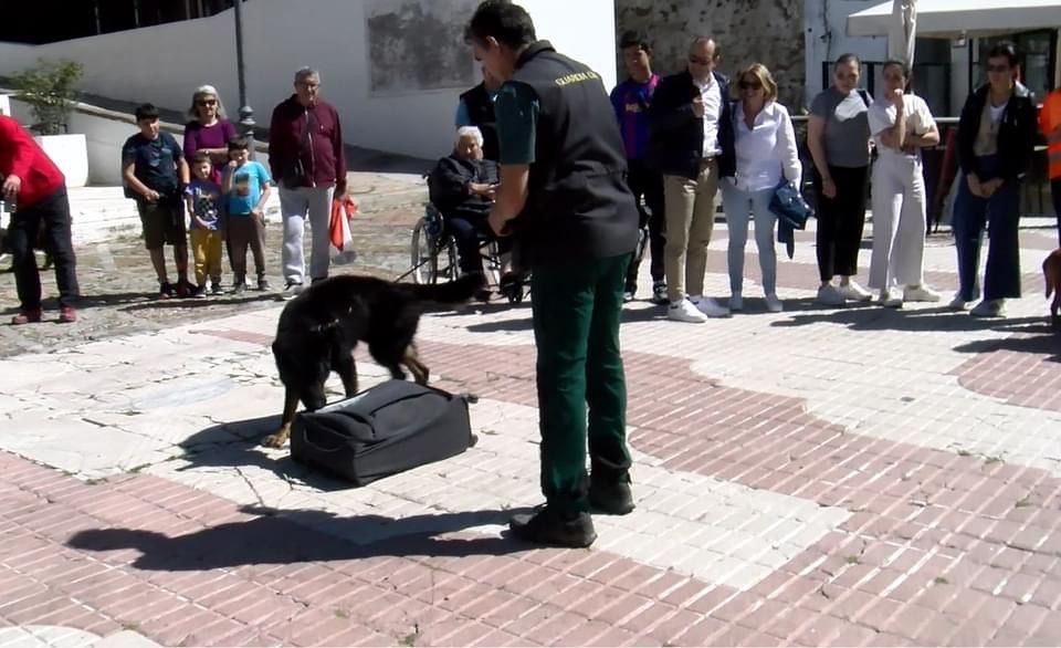 Tarifa acoge la demostración de varios perros adiestrados de la Guardia Civil y Policía Local