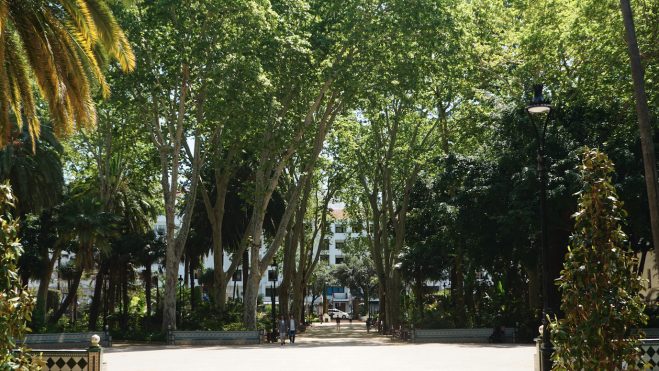 Parte central del parque.