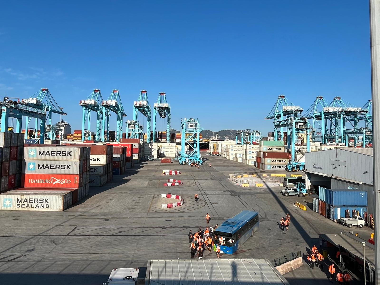 El Puerto de Algeciras. Declaran nulo el despido de un trabajador de una empresa del puerto de Algeciras