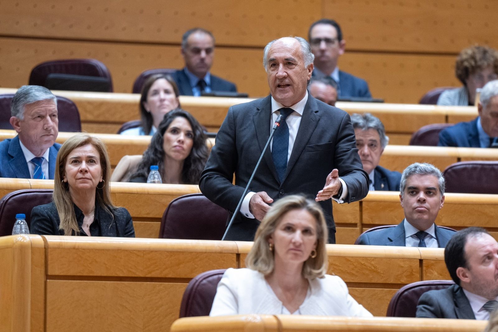 El PP advierte a Albares de que quiere un acuerdo sobre Gibraltar "pero no cualquier acuerdo". El senador y alcalde de Algeciras, José Ignacio Landaluce, en el Senado. 