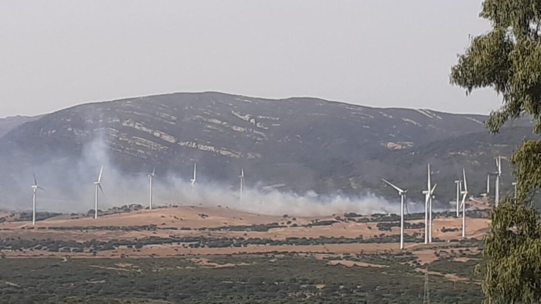Incendio forestal en Tarifa (Foto: INFOCA).