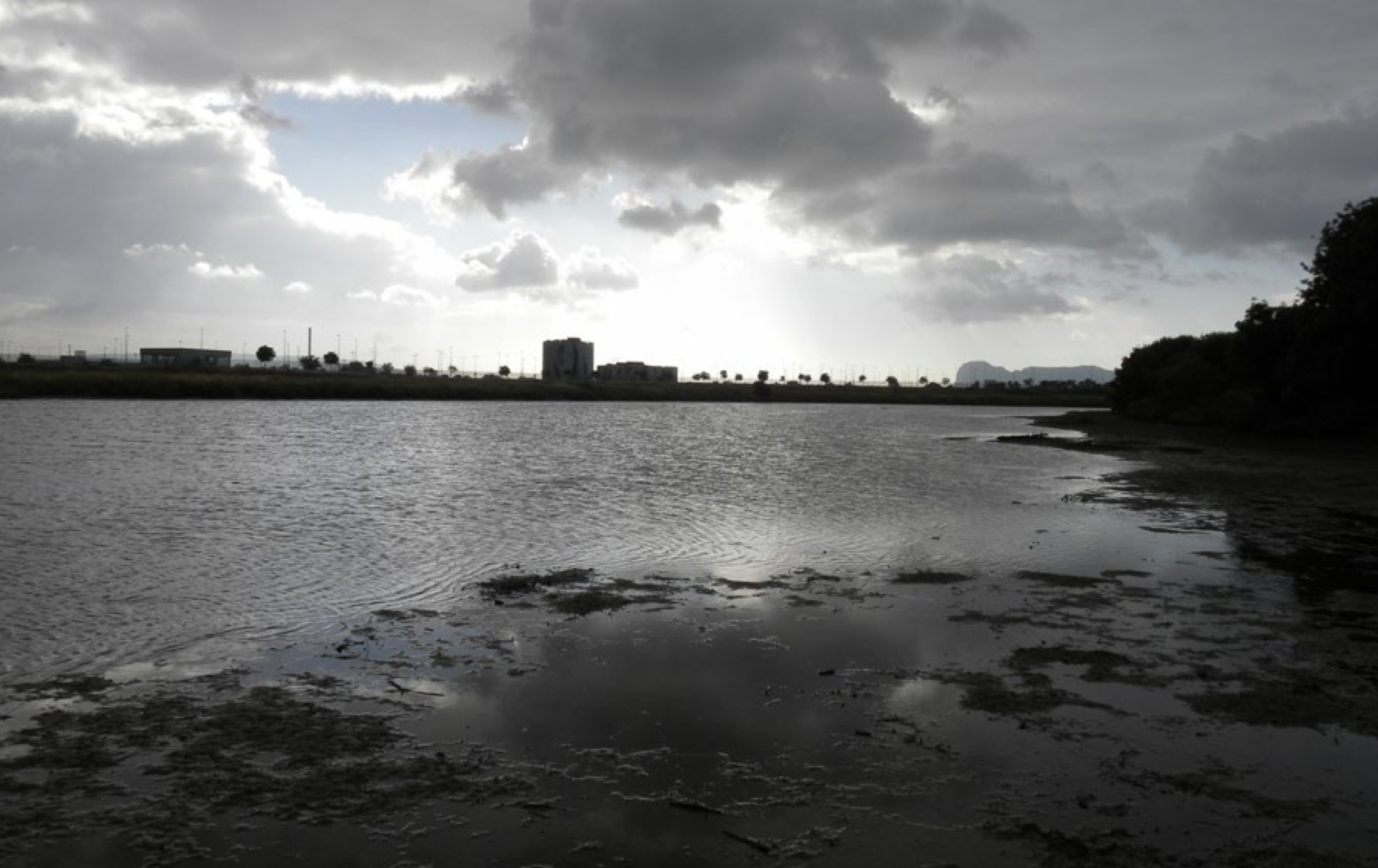 La desaparición de Rodrigo, el último rey visigodo, en el Wad al-tin (río Palmones). Lámina 4. Río Palmones en su último tramo. Autor: José Beneroso.