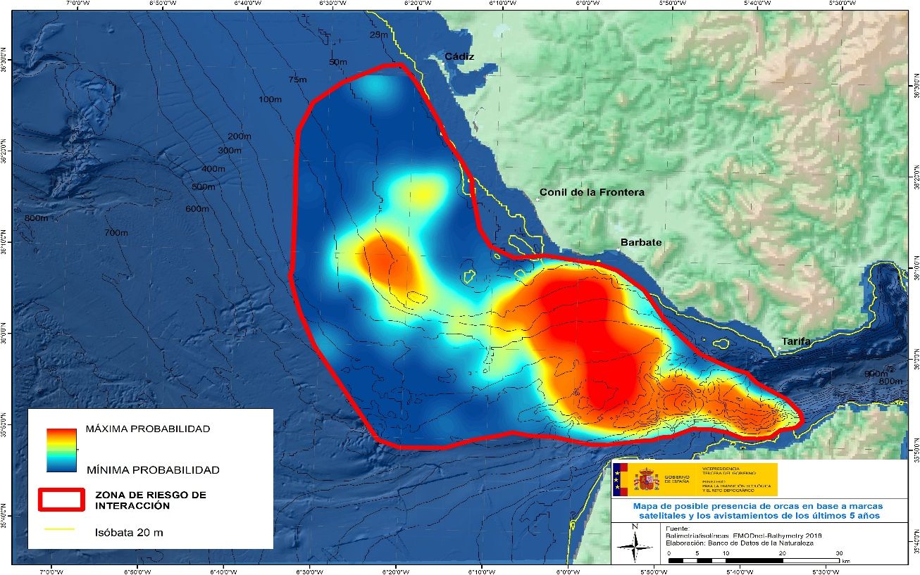 El Gobierno envía avisos a navegantes para evitar interacciones con orcas en el Estrecho