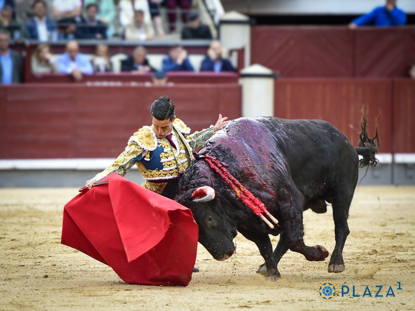 Bello muletazo de David Galván al toro de la ganadería El Torero. 