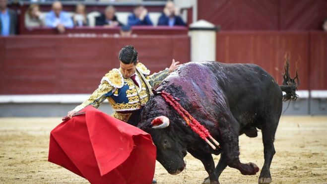 Bello muletazo de David Galván al toro de la ganadería El Torero. Bello muletazo de David Galván al toro de la ganadería El Torero.