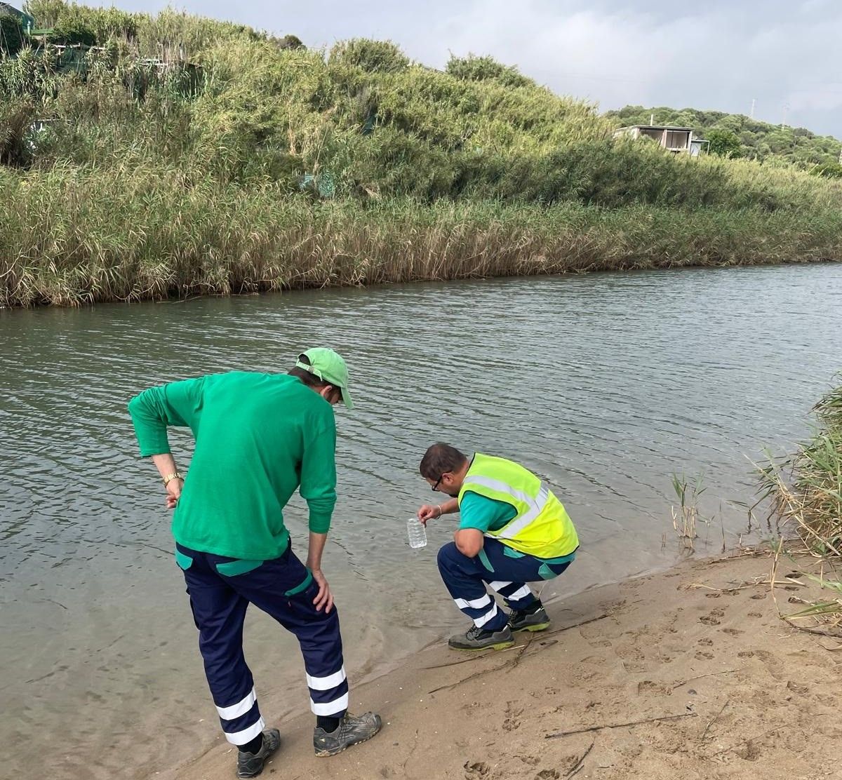 Algeciras retoma las labores de control y vigilancia para prevenir el Virus del Nilo.