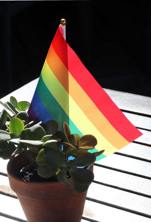 Bandera LGTBI, en el Campo de Gibraltar. 