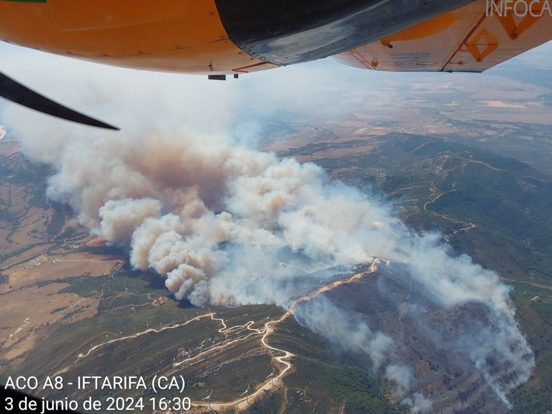 Incendio en el paraje monte La Peña, en el término municipal de Tarifa (Cádiz). - PLAN INFOCA