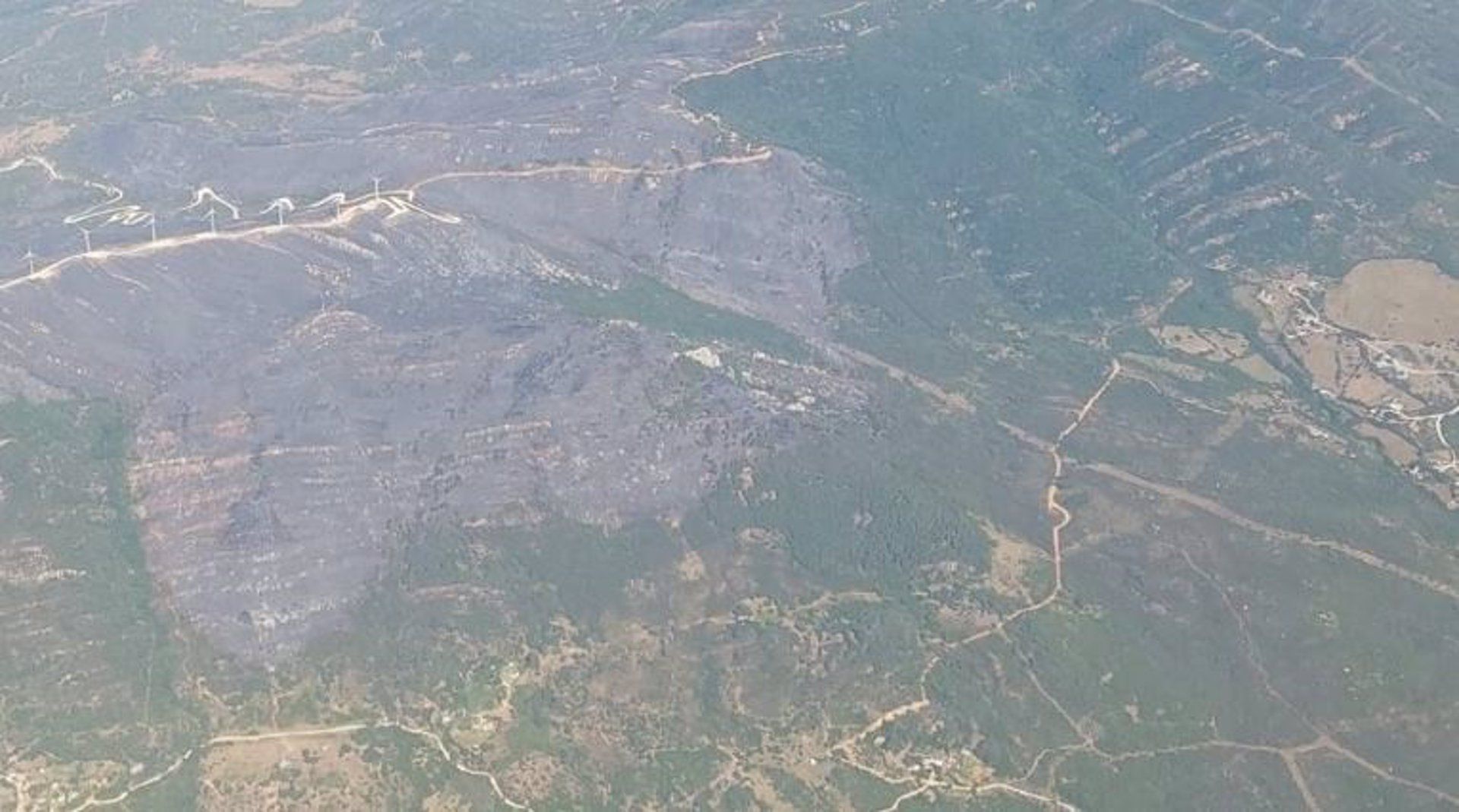 Superficie quemada en el incendio de Tarifa. 