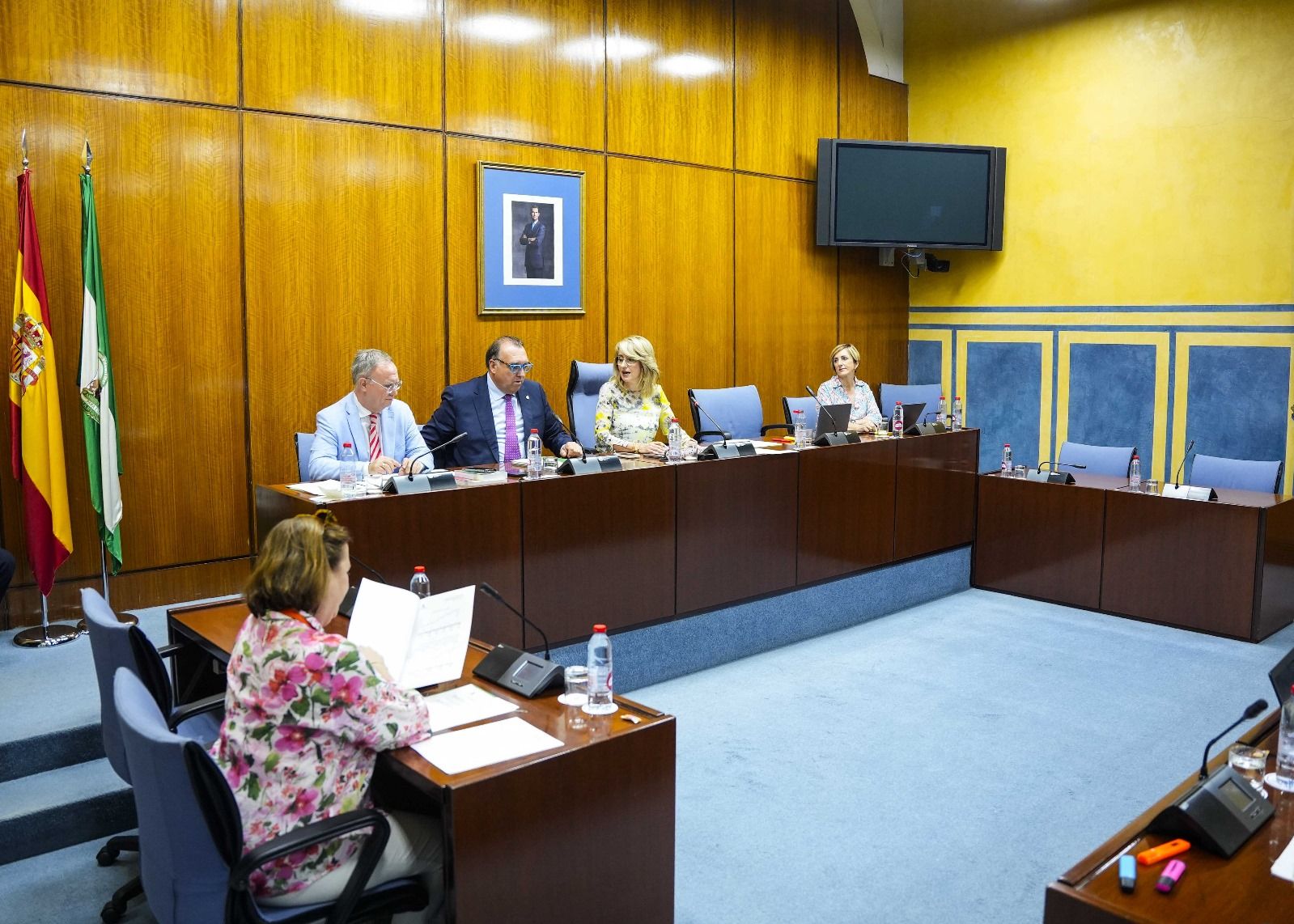 Comisión de Cultura en la que se ha tratado, entre otros asuntos, el Centro de Interpretación Paco de Lucía. 