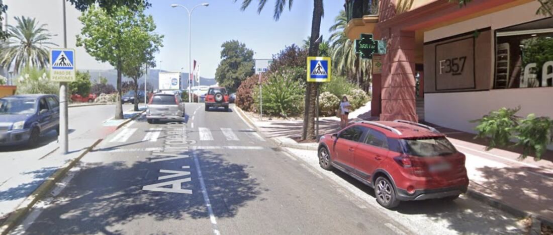 avenida virgen de la palma